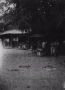 34 Gezicht in de kampong Chaah  Op de achtergrond zie je een toko   Chaah  Malakka  zaterdag 16 maart 1946