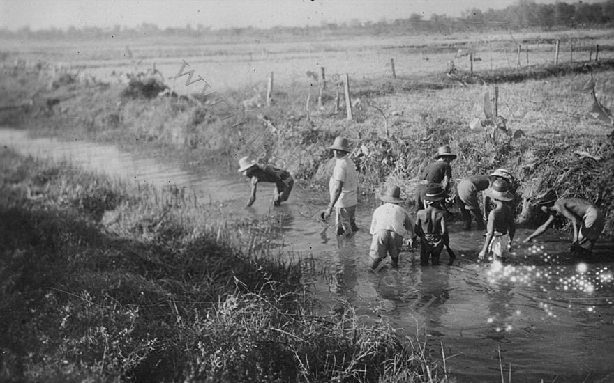 14 kl De kali krijgt een goede beurt