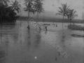 151 Banjoemas overstroming