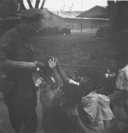 1 59 permun Toean   Pepermunt distributie