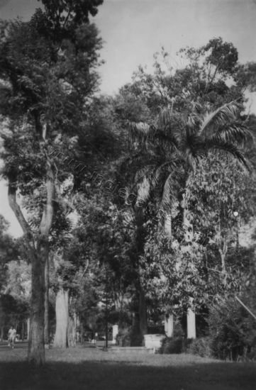 1 101 Batavia Kebon Sirih