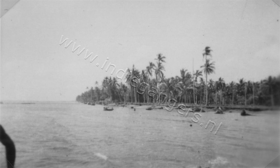 1 119 palmbeach overzicht van de kust