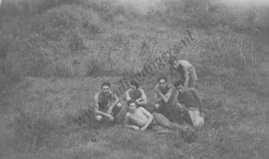 107 groepje in het gras