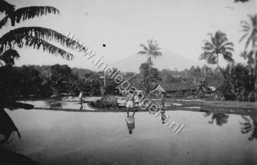 l 102 de sawah bewerken