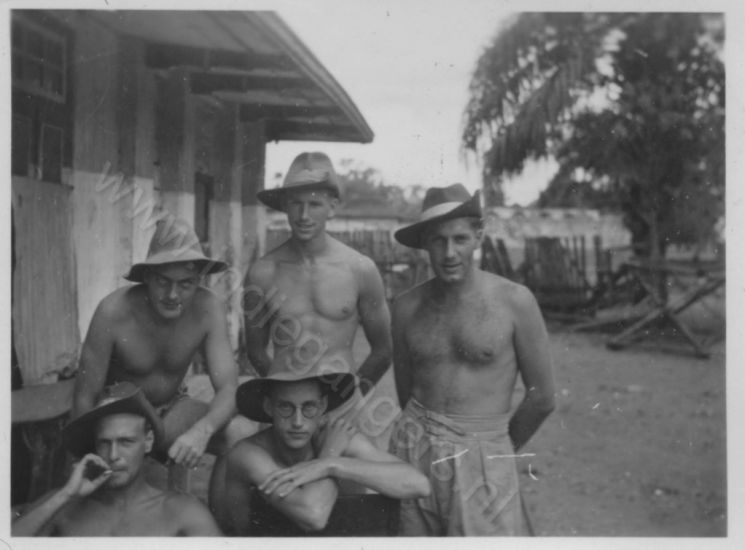 275a net jonge honden   op de Jetty