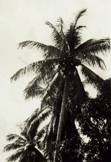 MK 1948 een stuk van het grote Sumatra