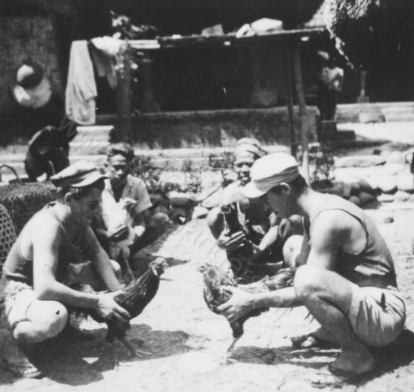 131a Het afwegen van de hanen voor een gevecht   Bali Kid van Roon en Teun Rilfkens