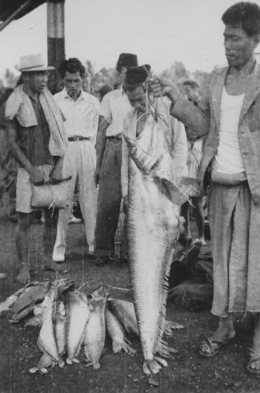 136 grote vis gevangen