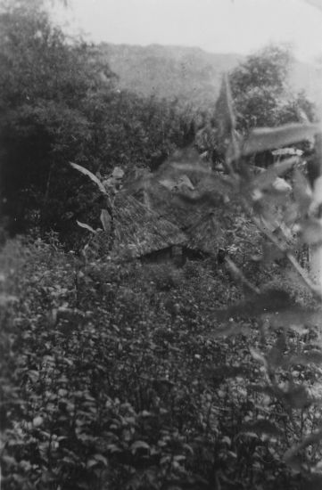 A168 kamponghut verscholen in de natuur te Bawang