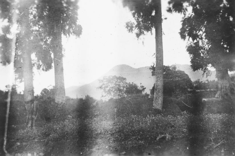 A43 Buitenzorg Tjiandjoer