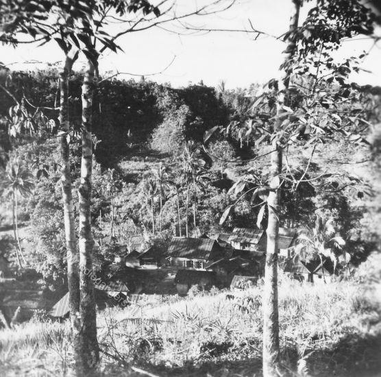 8 Adian koting aug 1949