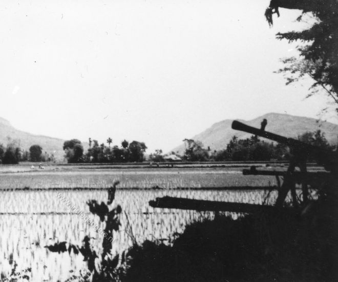 66 bren guns over de sawahs
