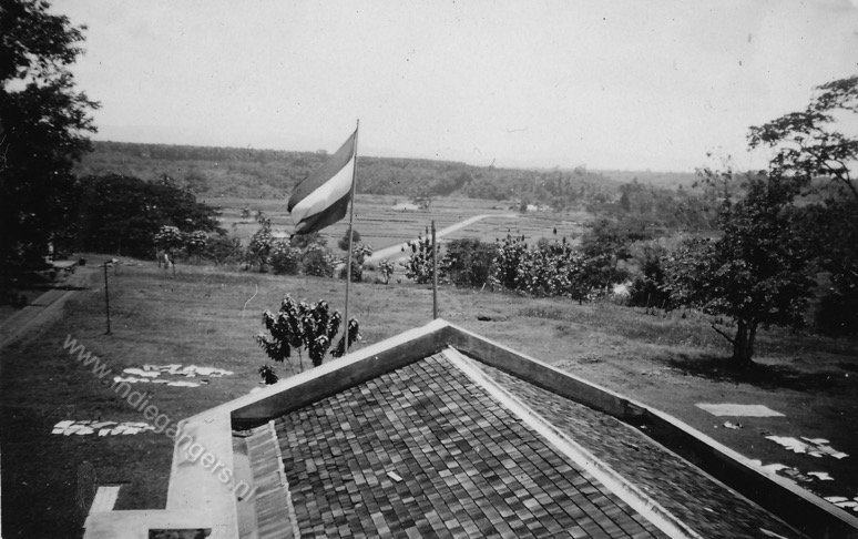 40 was drogen op het gras  Tjileungsir   Cileungsir West Java
