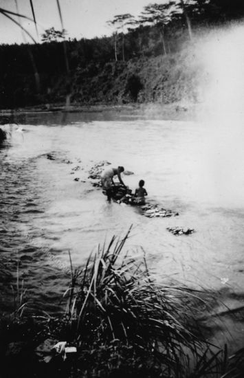 56 baboes aan de was in de kali Tjileungsir   Cileungsir West Java