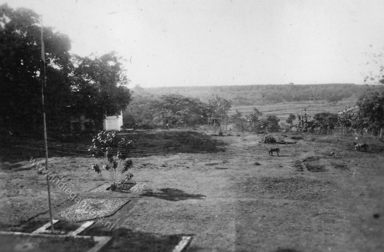 58 Tjileungsir   Cileungsir West Java