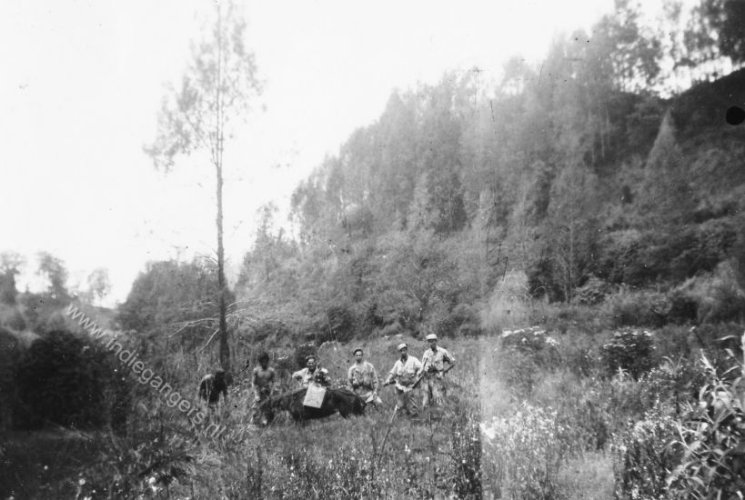 129   118 Ngadas fourage te paard door de bergen