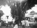 69   59 Malang Waringa boom vrouwen bagage op hoofd