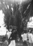 69   59 Malang Waringa boom vrouwen bagage op hoofd