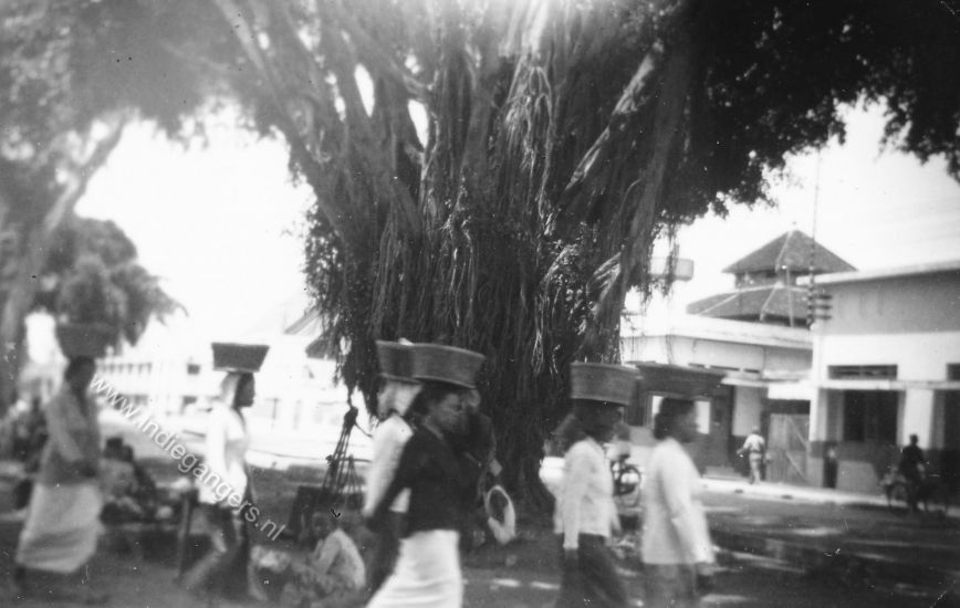 69   59 Malang Waringa boom vrouwen bagage op hoofd