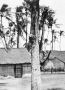 14 kampong bij Probolingo
