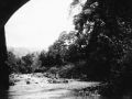 19 natuurfoto Karangpanas