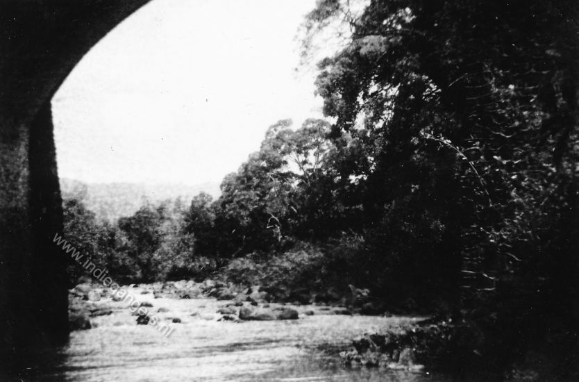 19 natuurfoto Karangpanas