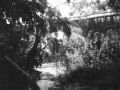 20 natuurfoto brug Karangpanas