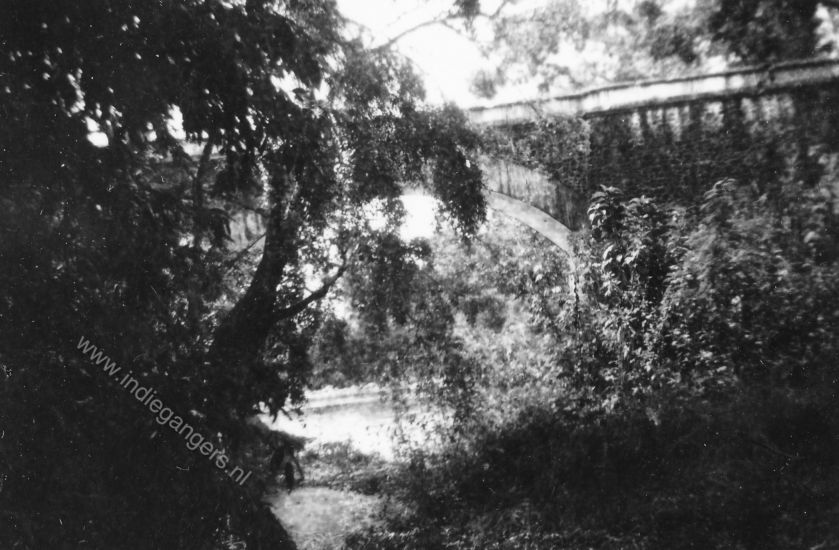 20 natuurfoto brug Karangpanas