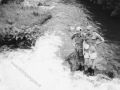 25 kijkend naar de waterval