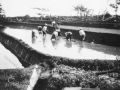 33 sawah dijkjes bewerken vrouwen