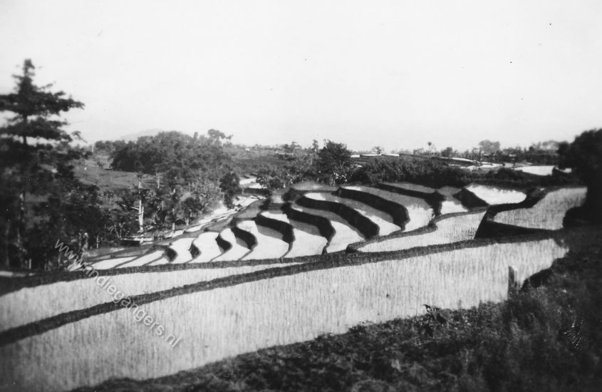 38 trapsawahs Nongkodjadjar