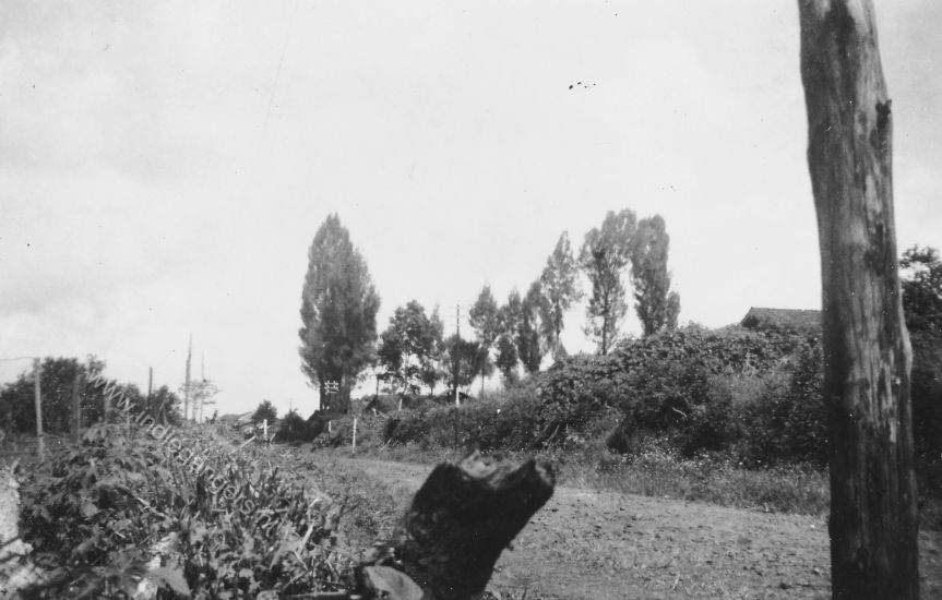 43 de weg