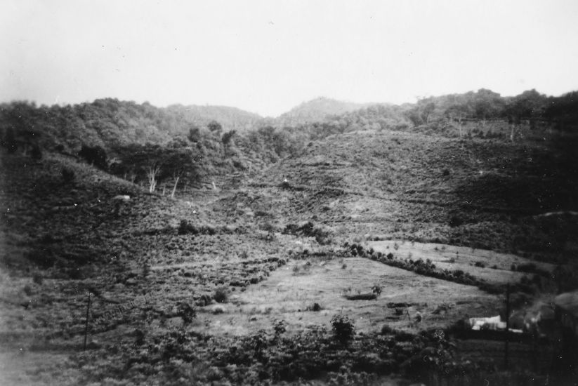 17 gezicht vanaf de theefabriek op Kaligoea 1800 meter hoog op de theestruiken