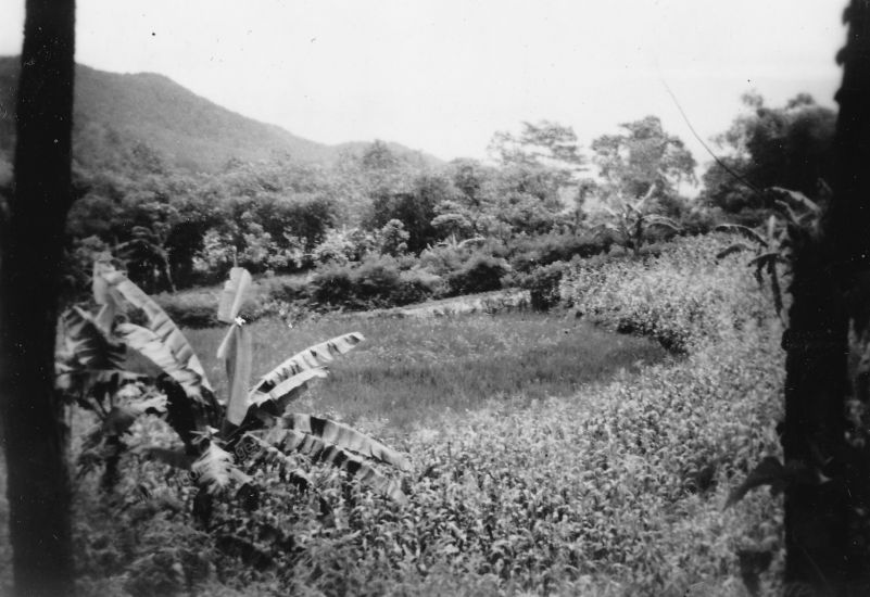 18 gezicht vanaf de weg naar Kaligoea