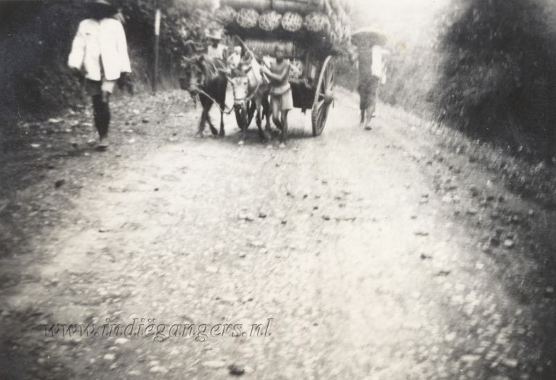 13 een karbouwenkar met houtskool te Tjiteureup