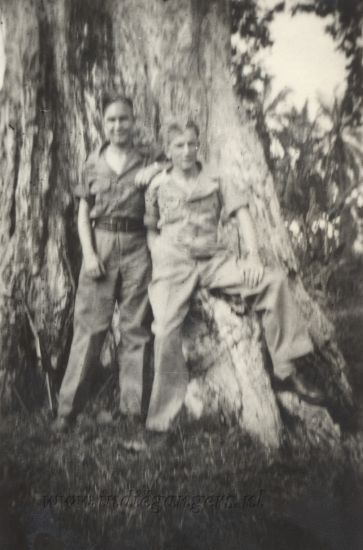 40 poseren onder een verwilderde rubberboom