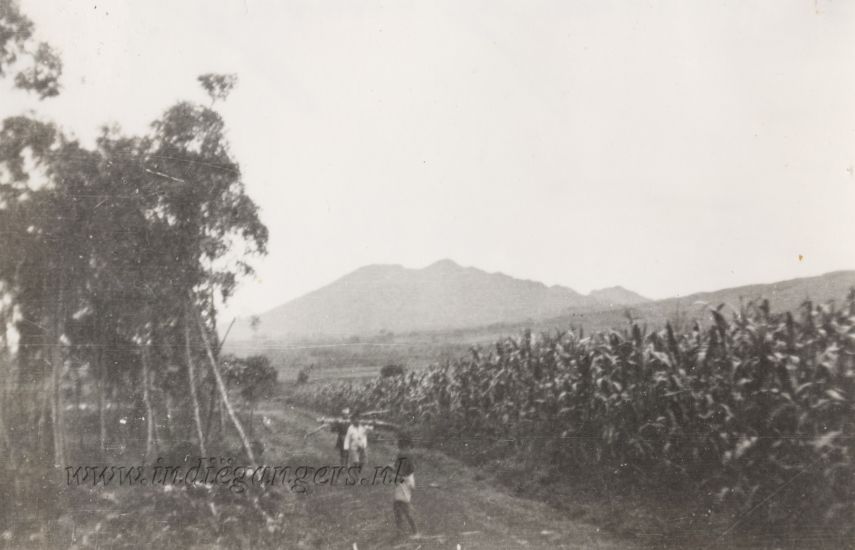 136 Natuurschoon bij Lembang