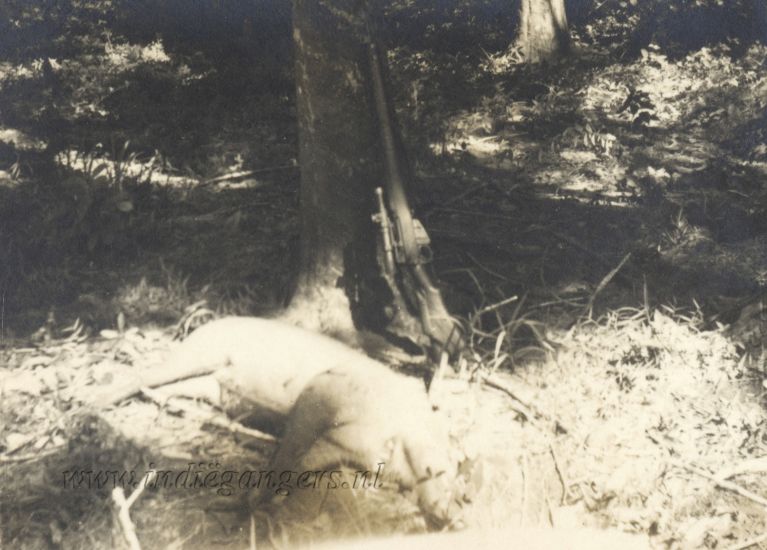 140 Hier ligt Janus  een pas geschoten verken