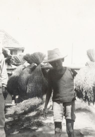 157 Rijstfabriek te Indramajoe