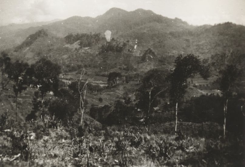 0125 natuur met kamponghuisjes