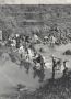 77 draagkoelies trekken over kali Damar 20 12 1947