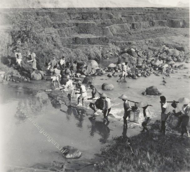 77 draagkoelies trekken over kali Damar 20 12 1947