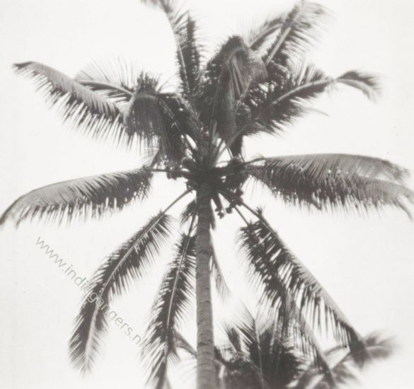 70 klapper Banterbolang nov49