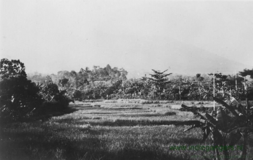 112 natuurschoon in de Bandoengse laagvlaktes