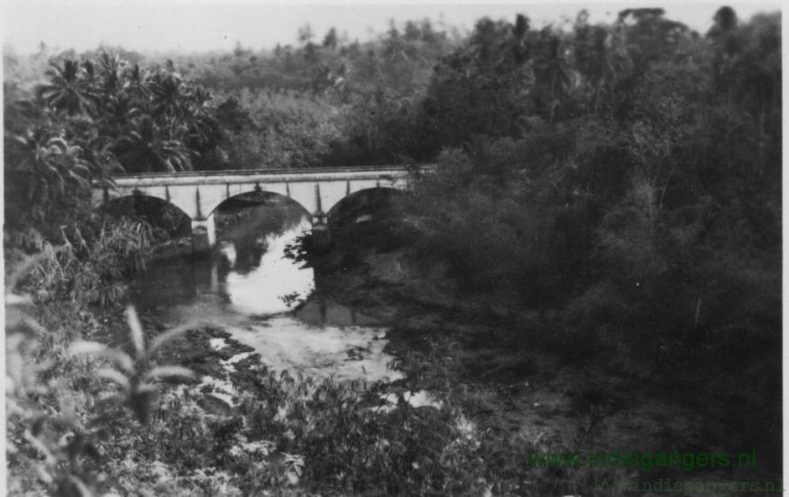 91 Natuuropnames in de omgeving van Depok
