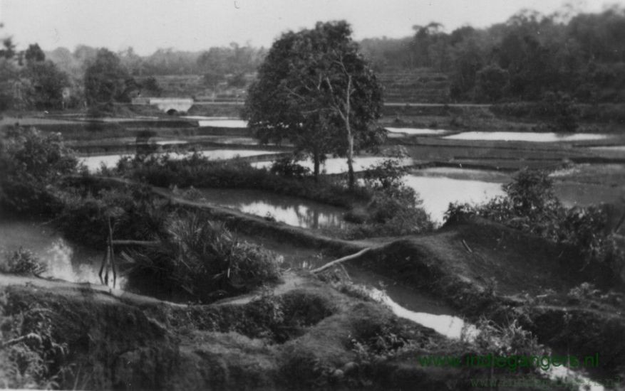 95 natuurschoon bij Depok
