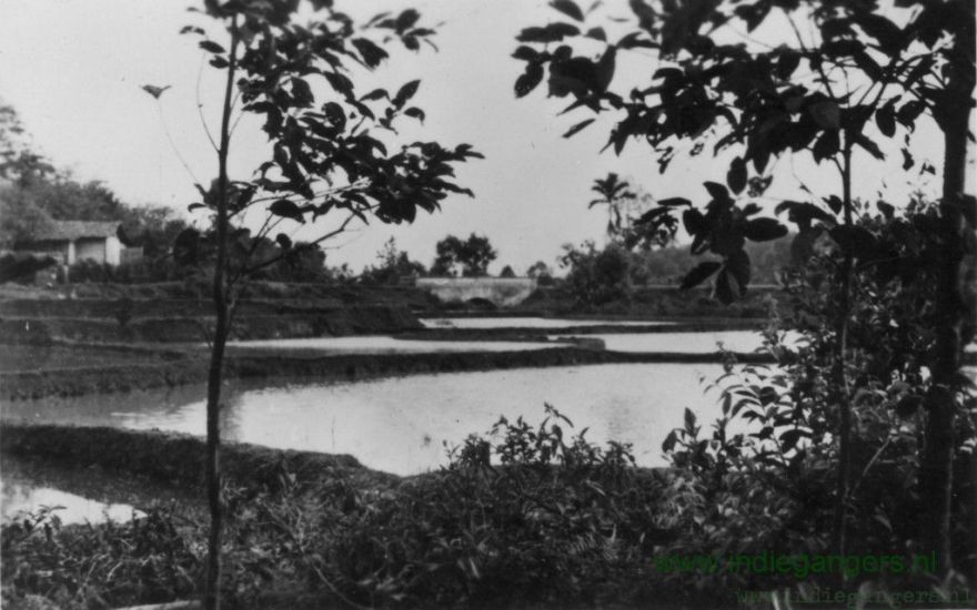 96 nogmaals natuurschoon bij Depok