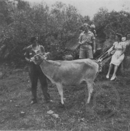 a153 tretes augustes 1948