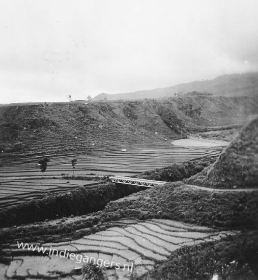 pag24 sawah uitzicht