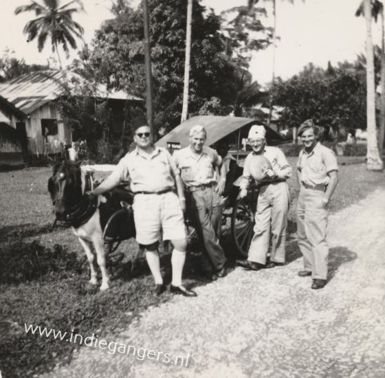 54 riksja met klein paardje